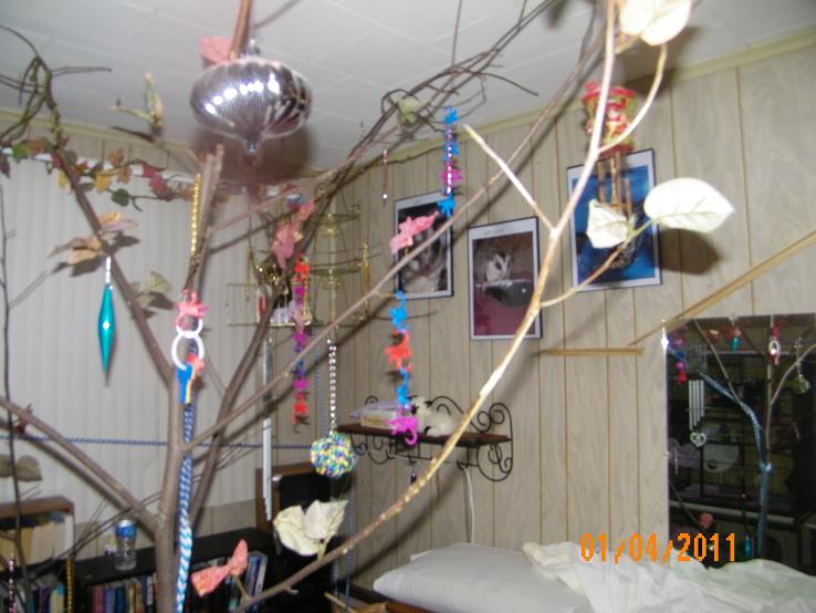 GliderGossip - Latest Pic of glider Room